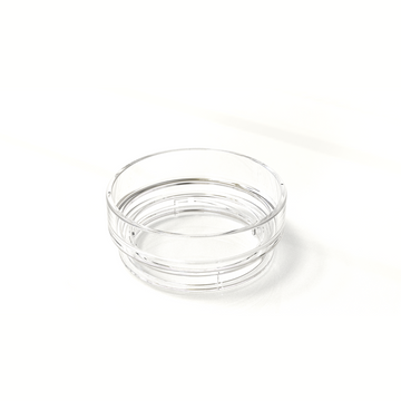 Lid Base (Mates with Lid Top)