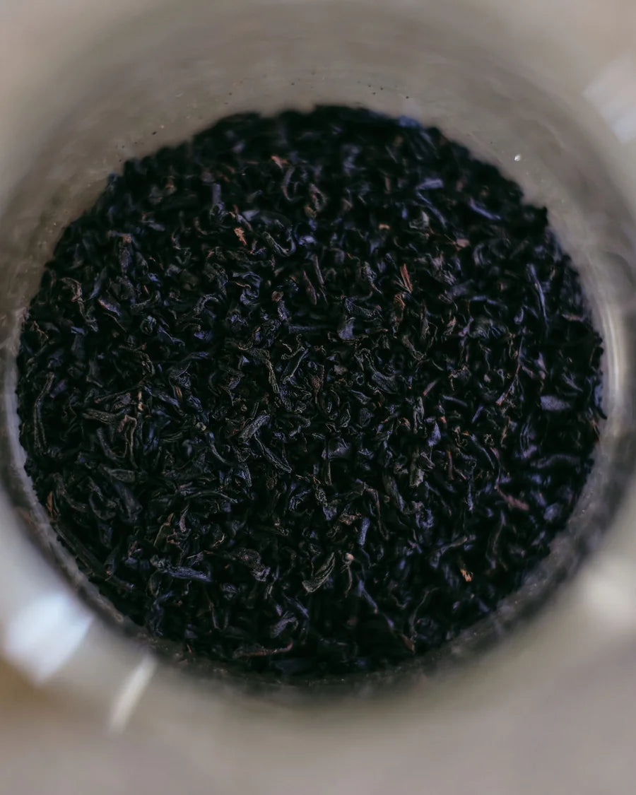 Loose leaf tea brewing and plunging in the GROUNDD xpress