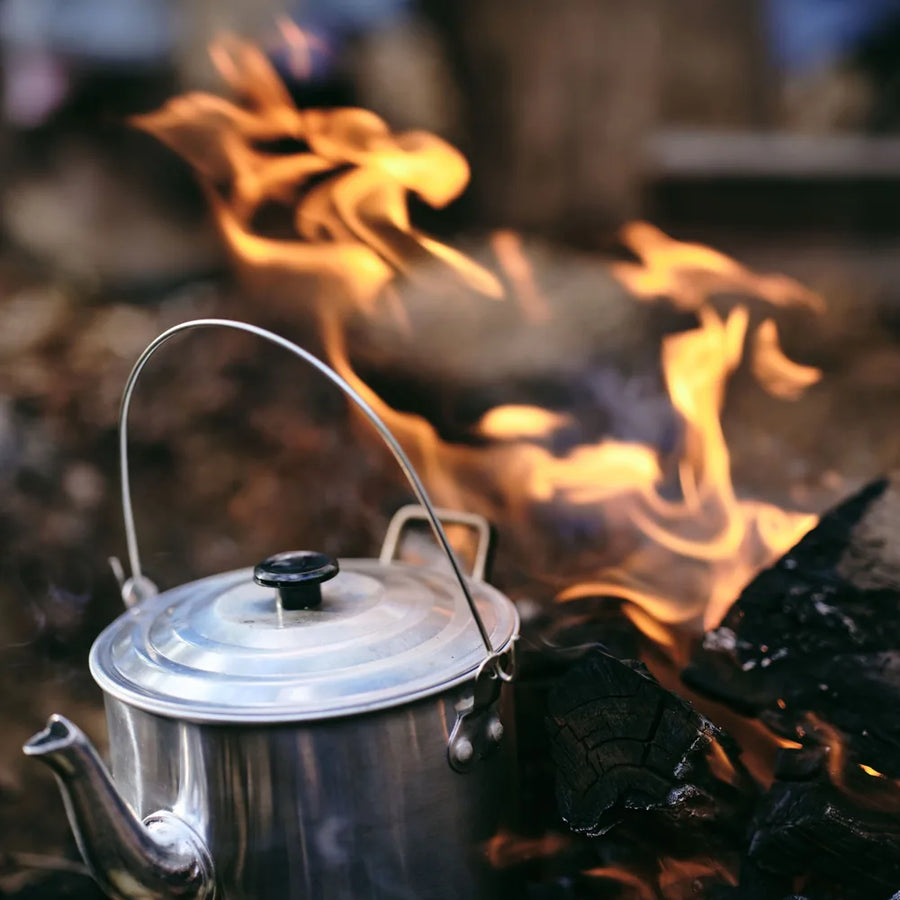 Cups by the fire and in the forest near home
