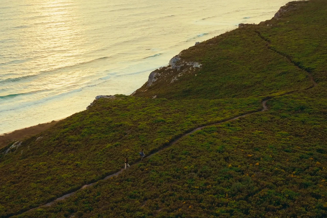 Aerial view of forest meeting the ocean on the Margaret River coast