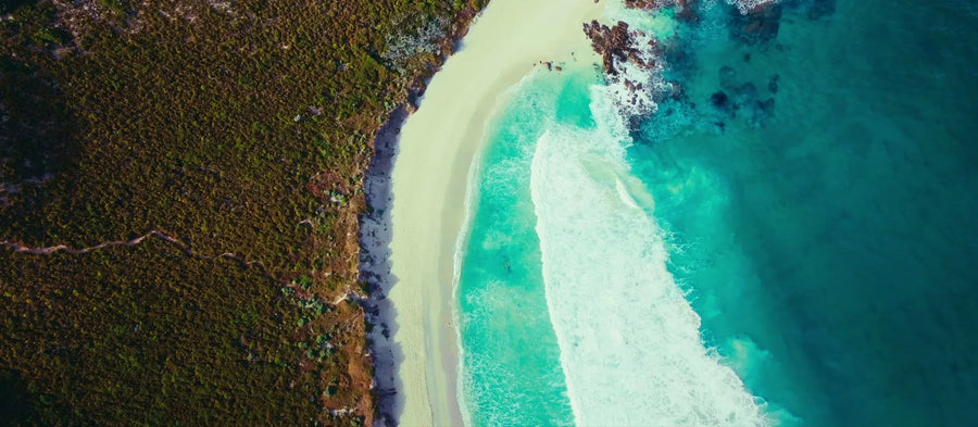 The Margaret River coast and forest the product was designed in