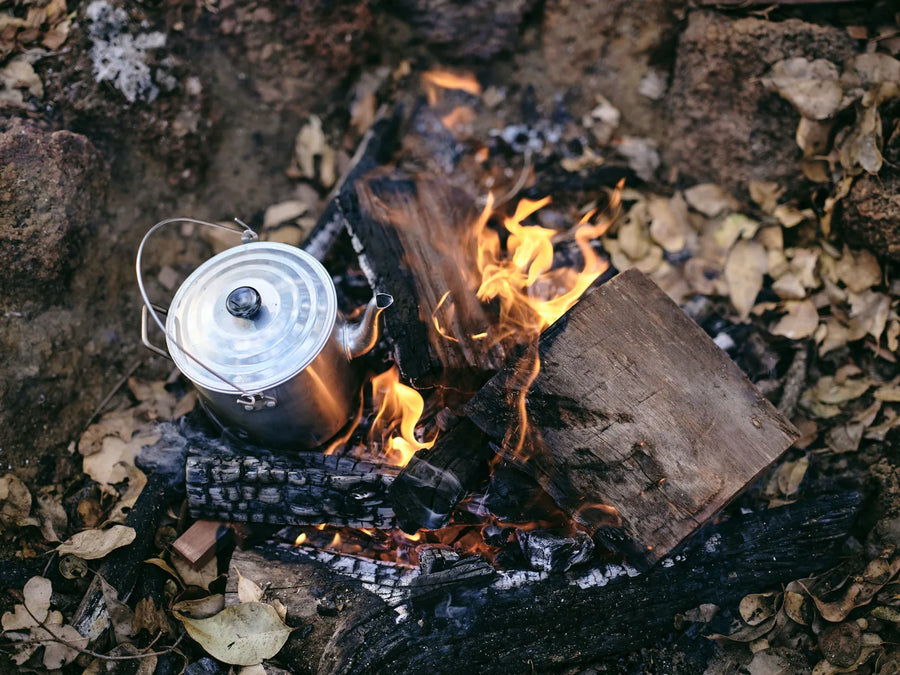 Cups by the fire and in the forest near home