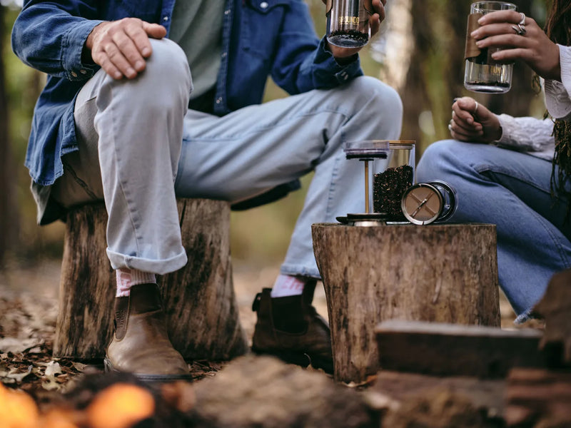 Brewing on stumps in the forest