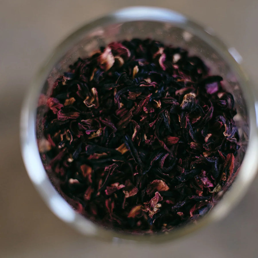 Loose leaf tea brewing and plunging in the GROUNDD xpress